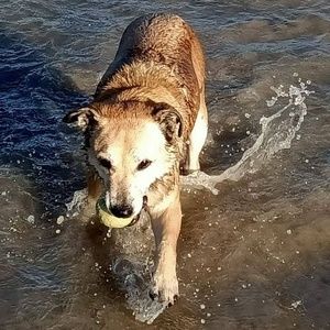 Meet your Posher, Lorraine